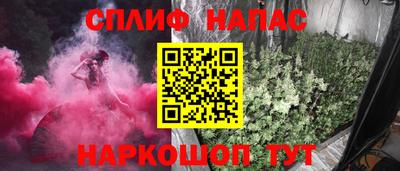 хмурый Бийск