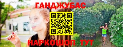 хмурый Бийск