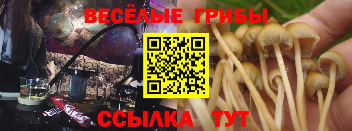 Галлюциногенные грибы мухоморы Калуга